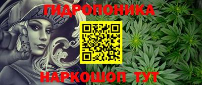 дмт Норильск