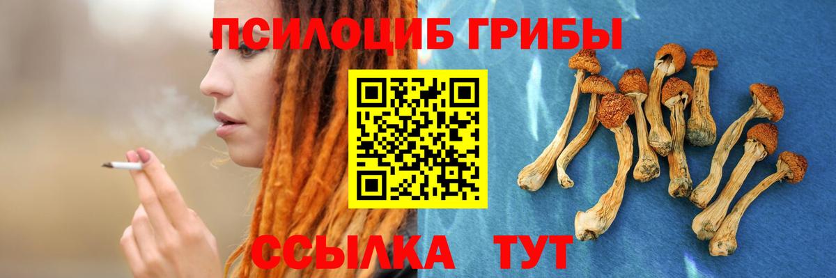 Псилоцибиновые грибы Psilocybine cubensis Гудермес