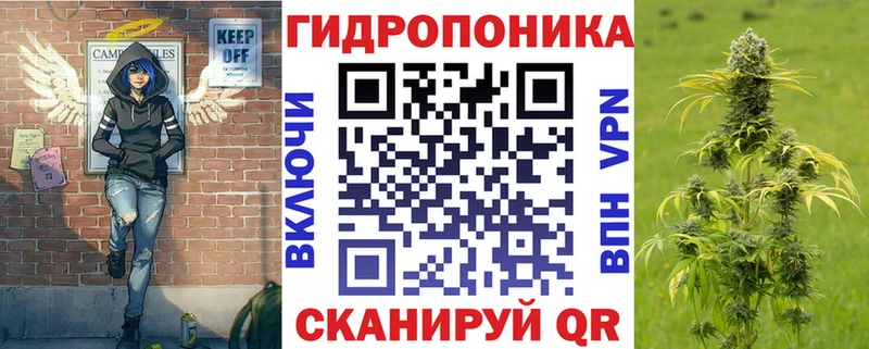 закладка  Гудермес  МАРИХУАНА план 